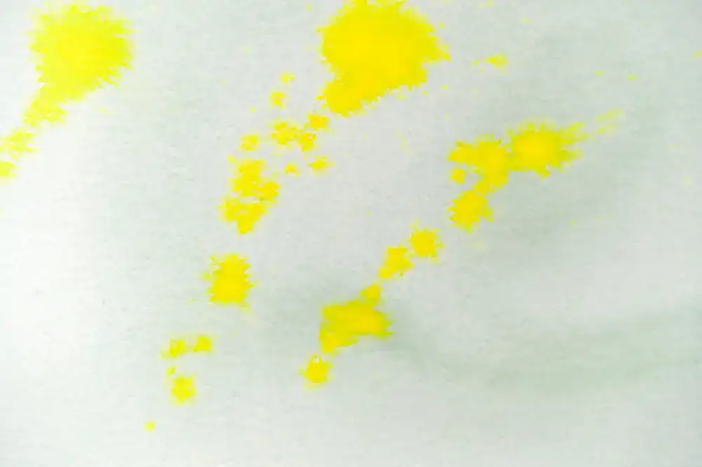 Watercolour painting of a fern